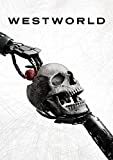 Westworld: Season 4 [DVD] [2022]