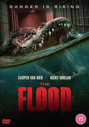 Flood [DVD]