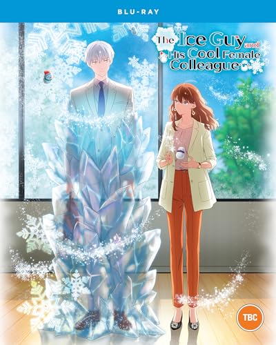 The Ice Guy and His Cool Female Colleague - The Complete Season [Blu-ray]