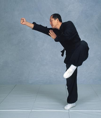 Analysis Of Shaolin Chin Na (YMAA Qin Na) grappling [DVD]