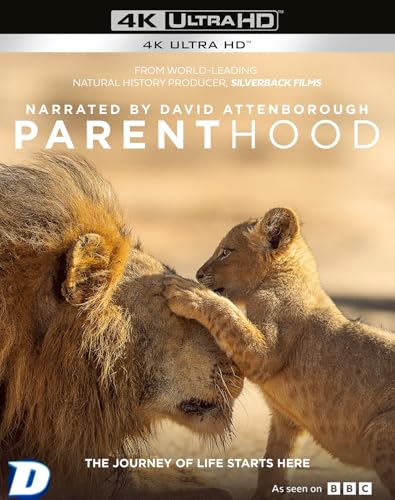 Parenthood [4K Ultra HD & Blu-Ray]